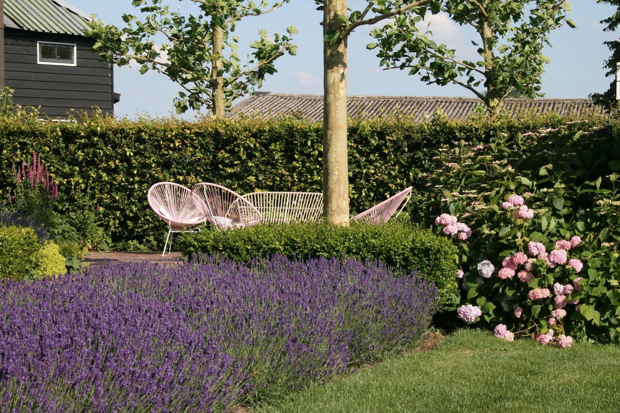 Boutique Hotel Villa Oldenhoff 압카우더 외부 사진